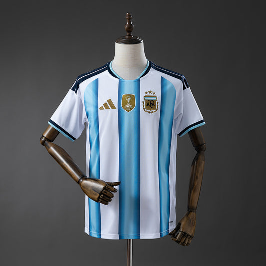 Argentina soccer jersey on a mannequin against a gray background